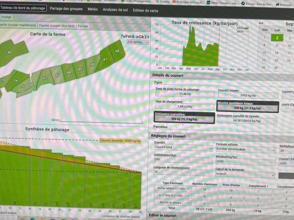 Ungebremstes Herbstwachstum