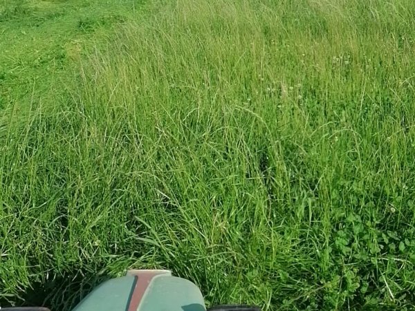 Mission: Überständige Koppeln beim erstmöglichen Zeitpunkt räumen