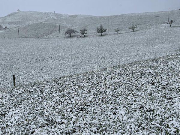 Wintereinfall im April