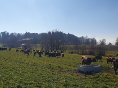 Bei Nässen abwarten