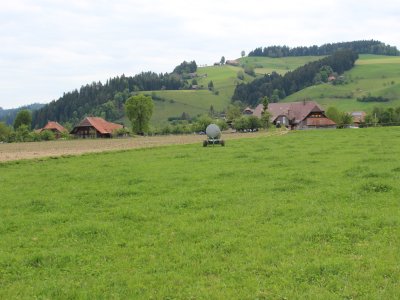 Bestehende Feldwege geschickt integrieren