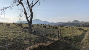 PXL_20250209_144310976