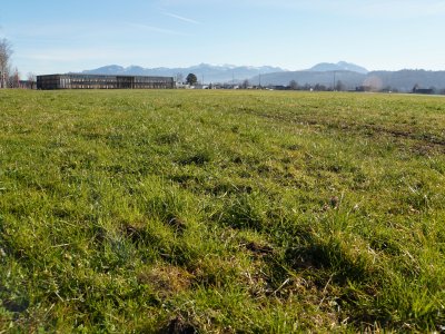 Salez SG am 05. März 2025