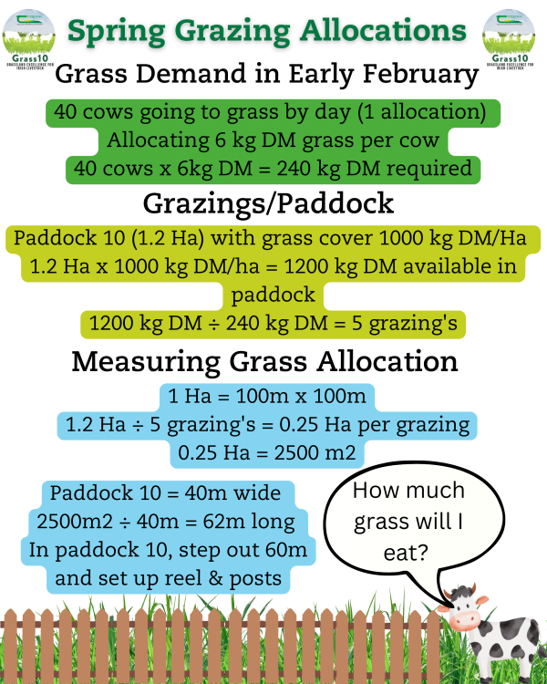 SpringGrazingAllocation_2025