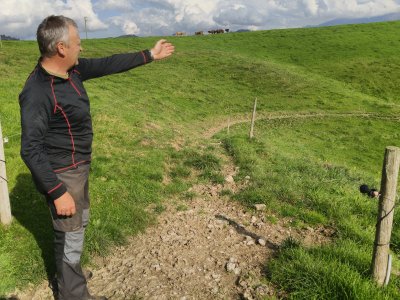 Künstliches, dauerhaftes Kuhweglein