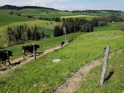 Unten rein, oben raus