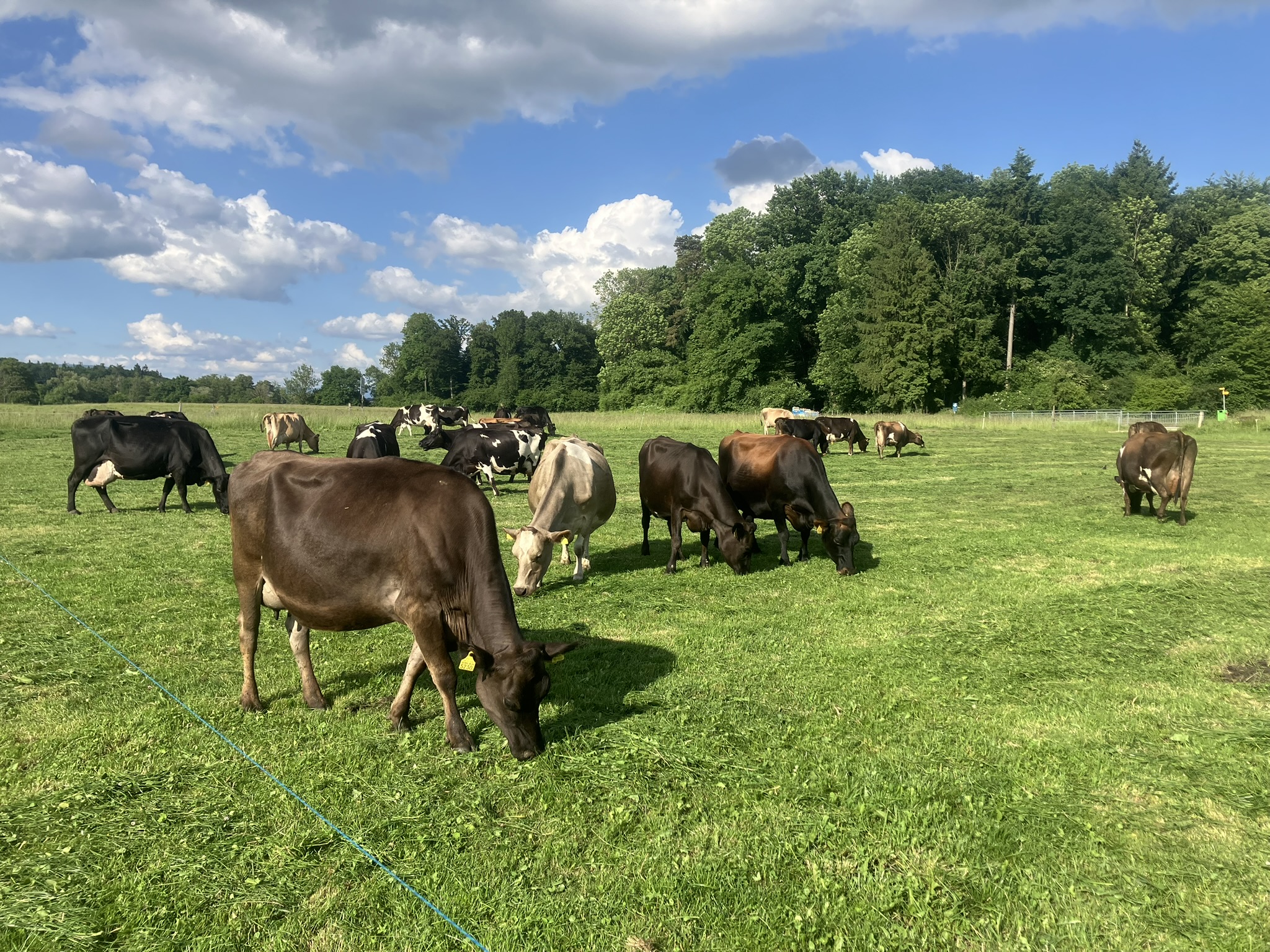 Nouvelle vidéo: Conditionnement de la luzerne
