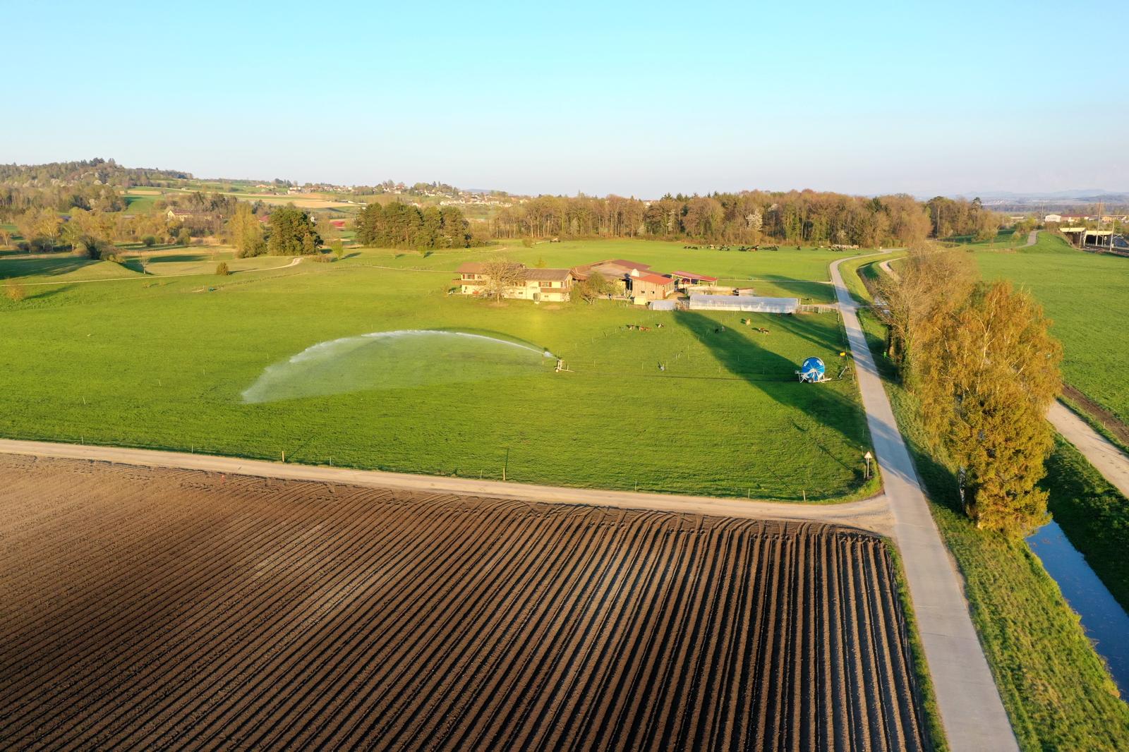 Iselerenho%CC%88lzli_Bewa%CC%88sserung Iselerenho%CC%88lzli_Bewa%CC%88sserung